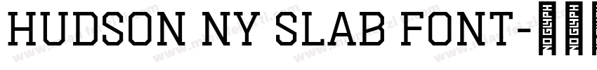 Hudson NY Slab font字体转换